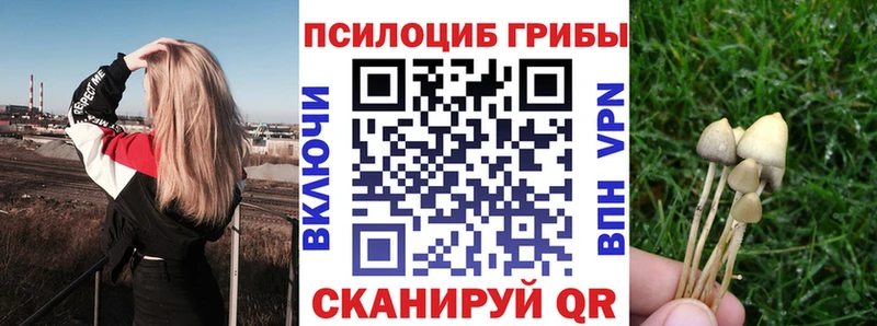 Псилоцибиновые грибы Psilocybine cubensis купить наркотик Горячеводский